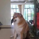 Zony 的头像